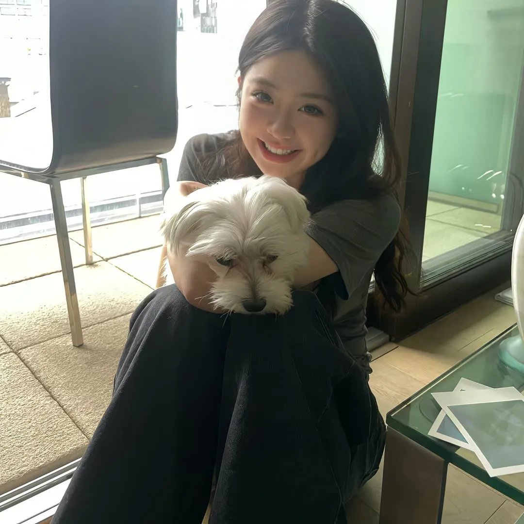 不可遗忘第四季